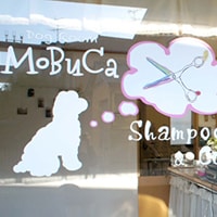 DogRoom MoBuCaの顔