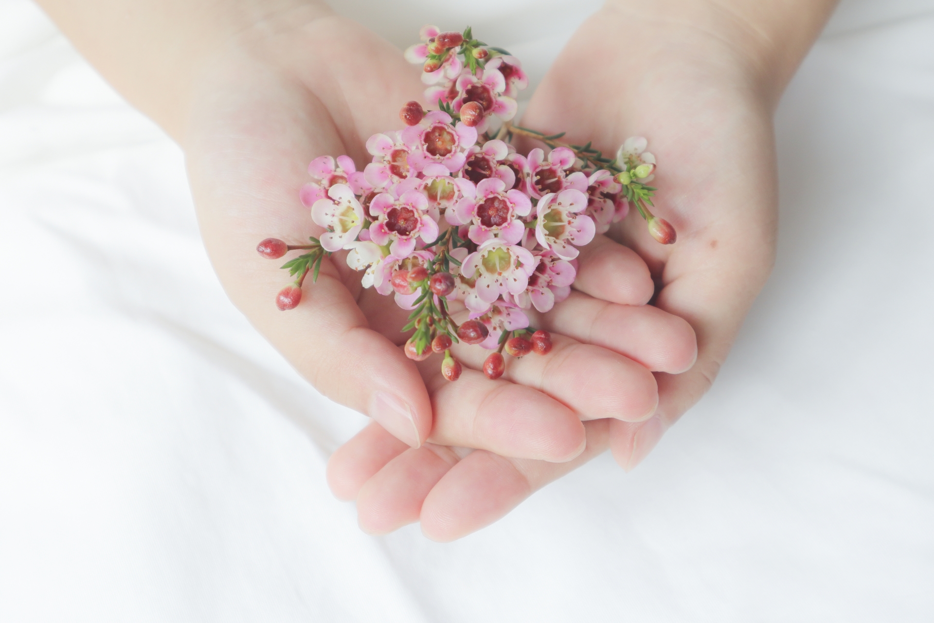 手のひらにお花が乗っている